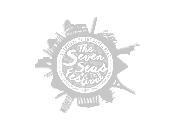 the severn seas festival